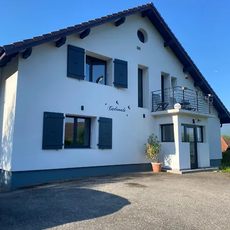 Villa La Cadamale Menthon-Saint-Bernard
